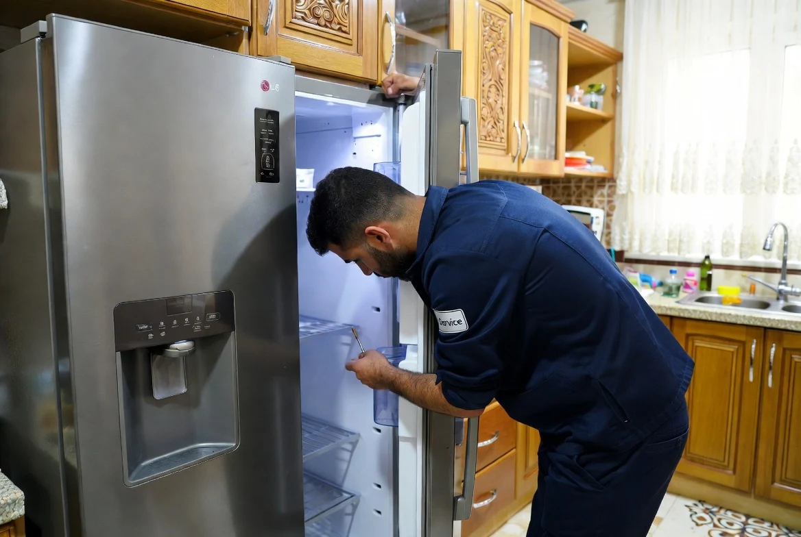 نمایندگی ساید بای ساید ال جی